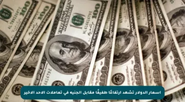 أسعار الدولار تشهد ارتفاعًا طفيفًا مقابل الجنيه في تعاملات الأحد الأخير